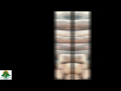 Veneer gỗ tự nhiên