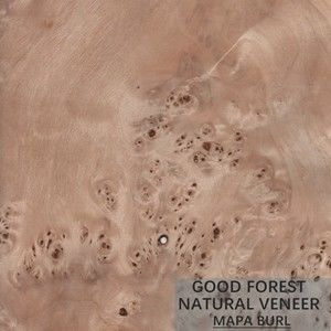 Tree Burl Gỗ Veneer Tấm gỗ dương trắng tự nhiên Tuyệt vời