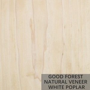 Tree Burl Gỗ Veneer Tấm gỗ dương trắng tự nhiên Tuyệt vời