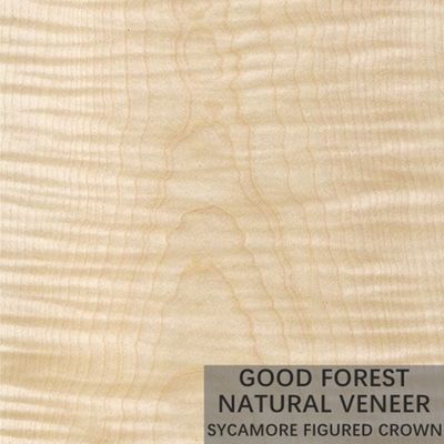 Veneer gỗ tự nhiên hình Sycamore 0,3mm - 0,5mm cho cửa nội thất