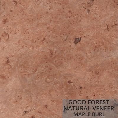 Khách sạn Birds Eye Maple Gỗ Veneer Nhân tạo Đặc biệt Tự nhiên