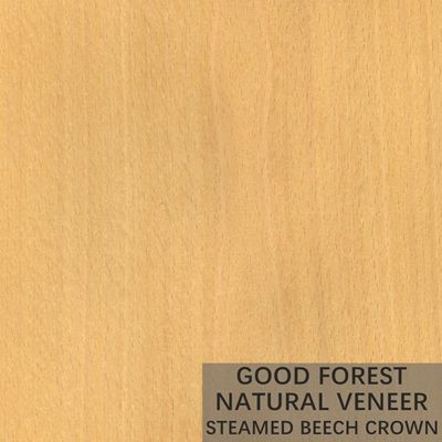 Veneer Beech hấp tự nhiên Bọc Veneer hạt dọc Tuyệt vời
