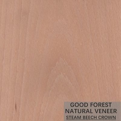 Veneer Beech hấp tự nhiên Bọc Veneer hạt dọc Tuyệt vời