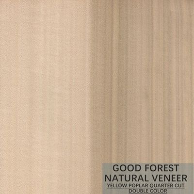 Gỗ tự nhiên Mappa Tulip Veneer Boxwood Excellent Double Color