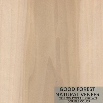 Gỗ tự nhiên Mappa Tulip Veneer Boxwood Excellent Double Color
