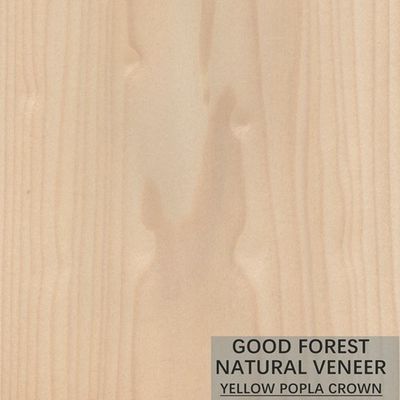 Gỗ tự nhiên Mappa Tulip Veneer Boxwood Excellent Double Color