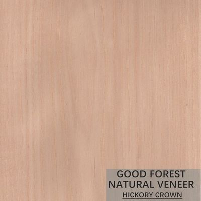 Veneer gỗ Hickory tự nhiên Double Color Tủ phổ biến Veneer gỗ FSC