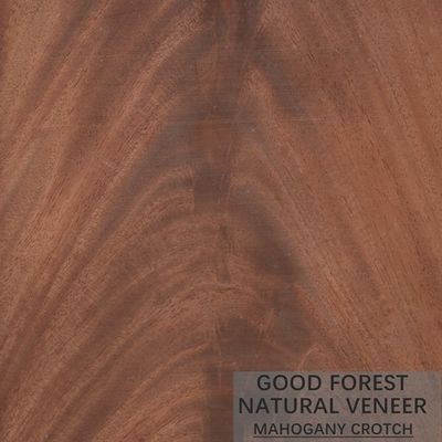 Gỗ tự nhiên Hardly Mahogany Veneer Custom Crown Cut Grain