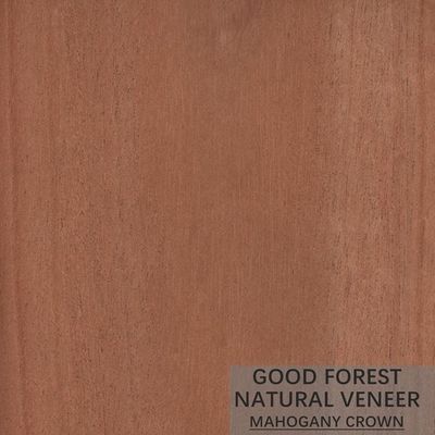 Gỗ tự nhiên Hardly Mahogany Veneer Custom Crown Cut Grain