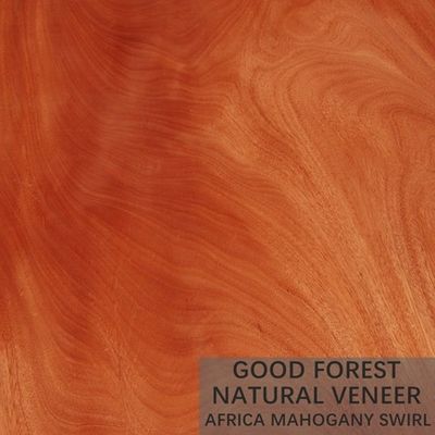 Gỗ tự nhiên Hardly Mahogany Veneer Custom Crown Cut Grain