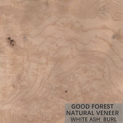 Tấm gỗ veneer tự nhiên ASH Hạt đặc biệt được tùy chỉnh cho cửa ra vào