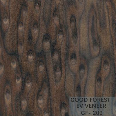 Veneer Gỗ Kỹ Thuật Eye's Burl dày 0.15-0.55 mm cho Thiết Kế Khách Sạn GF-019/609/219/209/809/009