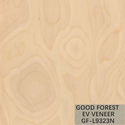 Veneer gỗ kỹ thuật Gốc cây Veneer gỗ tự nhiên / nhuộm màu