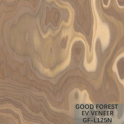 Veneer gỗ kỹ thuật Gốc cây Veneer gỗ tự nhiên / nhuộm màu