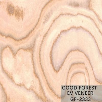 Veneer gỗ kỹ thuật Tree Burl Wood Veneer EV 2500 * 640 mm Kích thước