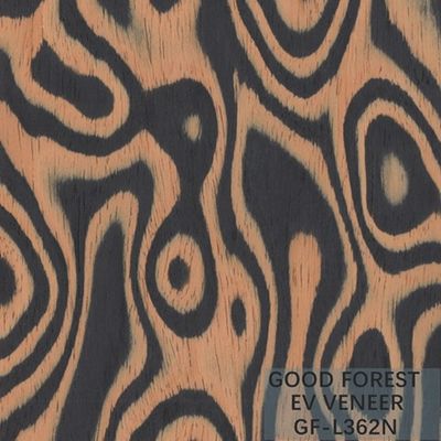Veneer gỗ kỹ thuật Tree Burl Wood Veneer EV 2500 * 640 mm Kích thước