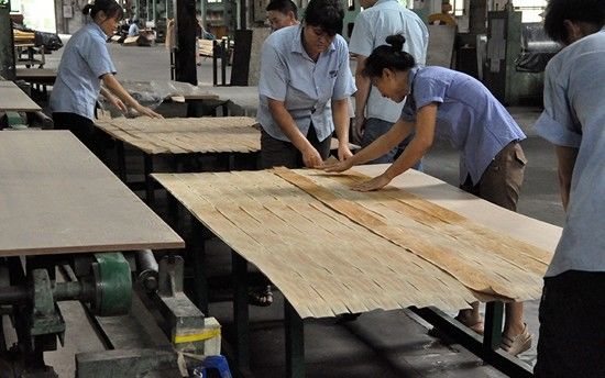 Pink Cat's Eye được thiết kế gỗ veneer 0.18-0.55mm PCE-X619 nhạc cụ