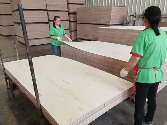 Top A Thiết kế gỗ veneer rửa đen dưa chuột vương miện hạt màu tối cho trang trí phòng khách sạn