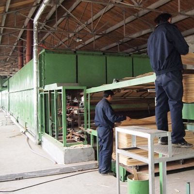 White Oak H8105C Man Made Crown Cut 3100mm Ván ép gỗ kỹ thuật phổ biến cho cửa ra vào