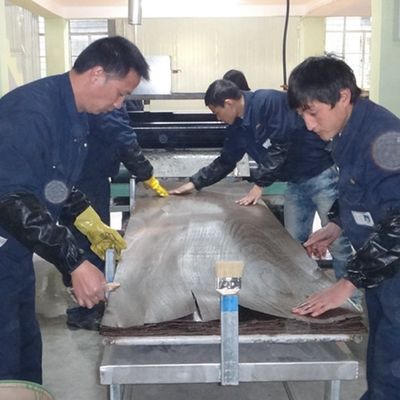 Ván ép gỗ kỹ thuật màu trắng mơ H86C Kỹ thuật cắt lát để ốp tường