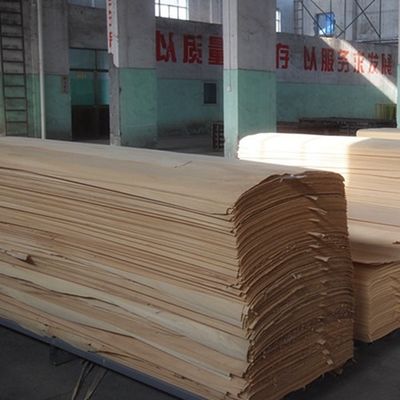 Ván ép gỗ sồi trắng tổng hợp nhân tạo X004 0,15-0,6mm cho ván ép