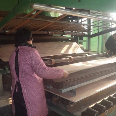 Nội thất Gỗ Sồi Trắng Gỗ Sồi Thẳng Gỗ Veneer Trang Trí H925