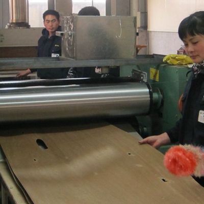Tấm ván ép gỗ tần bì trắng được tái chế Wa-X206 Cắt quý cho ván ép lạ mắt