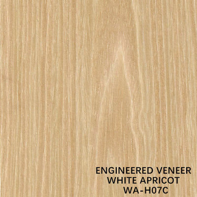 Hotel Recon Gỗ Veneer White Apricot H07C Flat Cut Chiều dài 3100mm