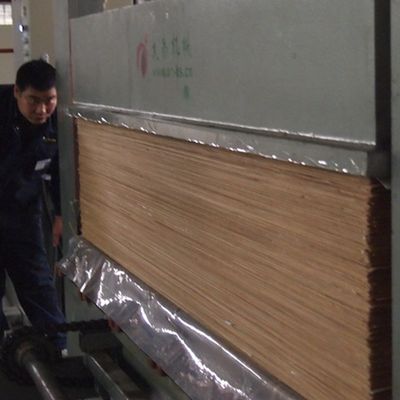 Lattice Texture 2200mm veneer gỗ sồi kỹ thuật cho bảng trang trí nội thất