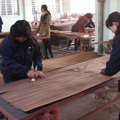 Tủ lạ mắt Ván ép đá phiến tái chế Walnut X937A Hạt thô đặc biệt Fineline từ nhà sản xuất Trung Quốc Iso