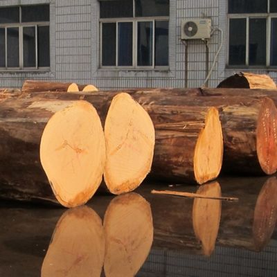 High End Custom Engineered Wood Veneer Lattice Texture Lengthened Size For Hotel Decoration (Thiết kế cao cấp để trang trí khách sạn)