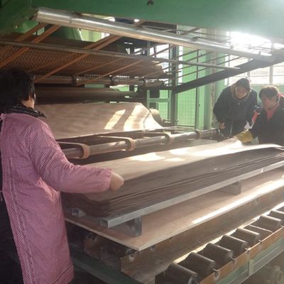 Thiết kế gỗ veneer Of Brown Pearl X6003 thiết kế mới 2500 * 640mm kích thước tiêu chuẩn cho đồ nội thất mặt veneer tấm