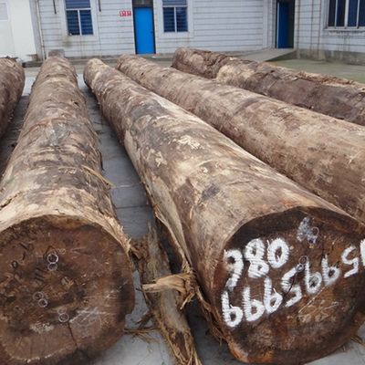 High-End Thiết kế gỗ Veneer Blue Agate B.AT-X3282 Mô hình sóng màu tối Độ dày 0,55mm Cho chạm khắc gỗ