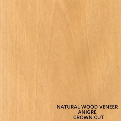 Đồ trang trí Đồ trang trí gỗ tự nhiên Anigre Flat Cut Crown Grain 0.18-0.55 mm Thickness