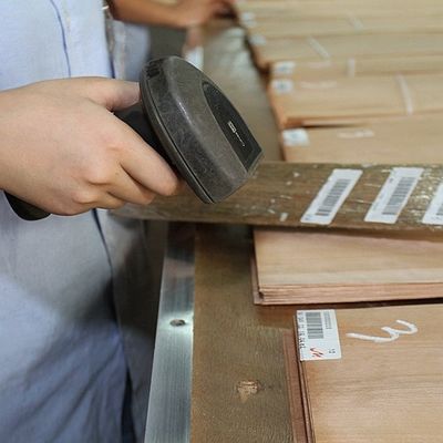Gỗ rắn Hoa Kỳ Elm tấm lớp A cho Quarter cắt Crown hạt màu tự nhiên cho cửa mặt 3200mm lên