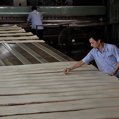 Vỏ gỗ nhân tạo của Golden Tree Ring 0.30mm G.TR-X3388 Slice Cut For Cabinet Face