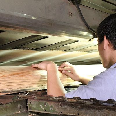 Thêm sự thanh lịch vào không gian Maple veneer Panel Flocculent Shadows Texture Manifestations