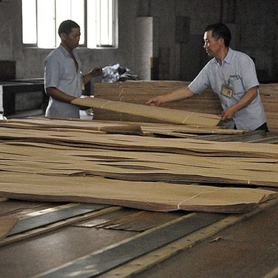 Trung Quốc Trang trí Veneer gỗ Walnut tự nhiên Hạt Burl tuyệt vời cho đồ nội thất cao cấp Làm FSC Các nhà sản xuất