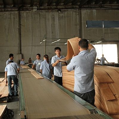 Thêm sự thanh lịch vào không gian Maple veneer Panel Flocculent Shadows Texture Manifestations