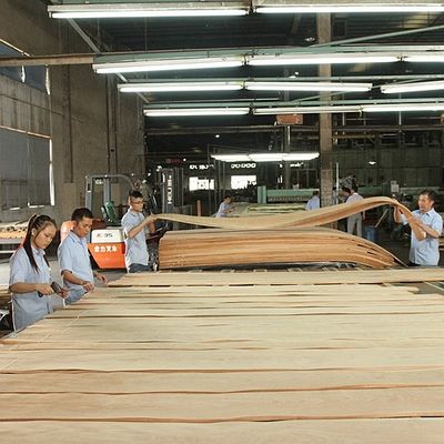 Thêm sự thanh lịch vào không gian Maple veneer Panel Flocculent Shadows Texture Manifestations