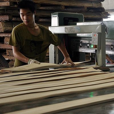 Vỏ gỗ nhân tạo của Golden Tree Ring 0.30mm G.TR-X3388 Slice Cut For Cabinet Face