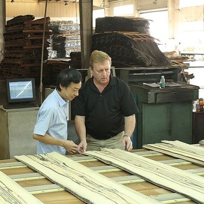 Gỗ rắn Hoa Kỳ Elm tấm lớp A cho Quarter cắt Crown hạt màu tự nhiên cho cửa mặt 3200mm lên