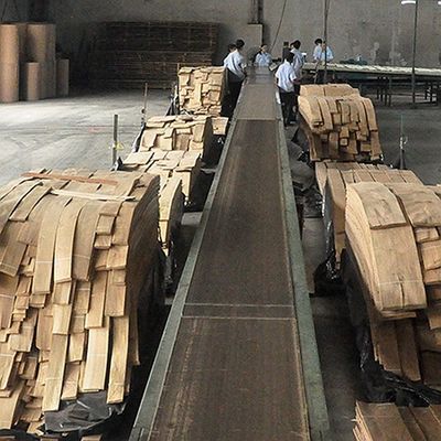 Gỗ rắn Hoa Kỳ Elm tấm lớp A cho Quarter cắt Crown hạt màu tự nhiên cho cửa mặt 3200mm lên