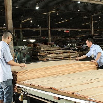 Gỗ rắn Hoa Kỳ Elm tấm lớp A cho Quarter cắt Crown hạt màu tự nhiên cho cửa mặt 3200mm lên