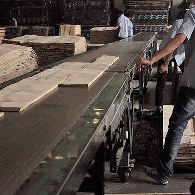 Tủ / Cửa tương phản Black Line Crown Grain Natural Teak Wood Veneer 0,15-0,55mm