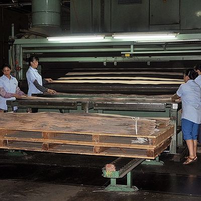 Gỗ phong tự nhiên của Mỹ Veneer Birdseye Maple Độ dày 0,5mm Chất lượng tốt cho đồ nội thất và nhạc cụ