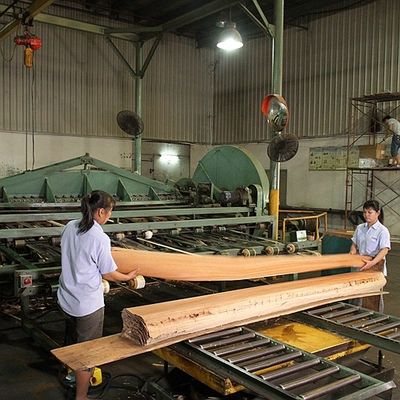 Gỗ dương tự nhiên của Mỹ Veneer quý Cắt đôi màu để trang trí