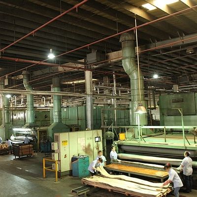 Gỗ dương tự nhiên của Mỹ Veneer quý Cắt đôi màu để trang trí