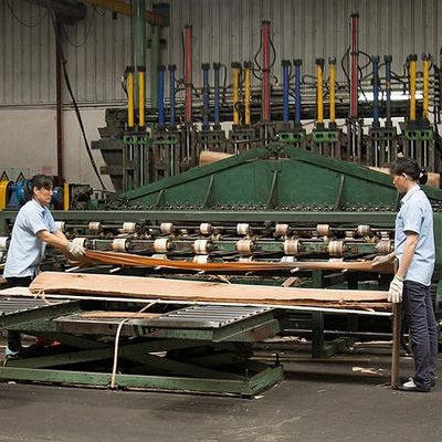 Gỗ dương tự nhiên của Mỹ Veneer quý Cắt đôi màu để trang trí