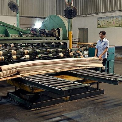 Châu Phi Veneer gỗ Koto tự nhiên Khu phố cắt hạt thẳng Chất lượng tốt cho quá trình nhuộm có thể được tùy chỉnh